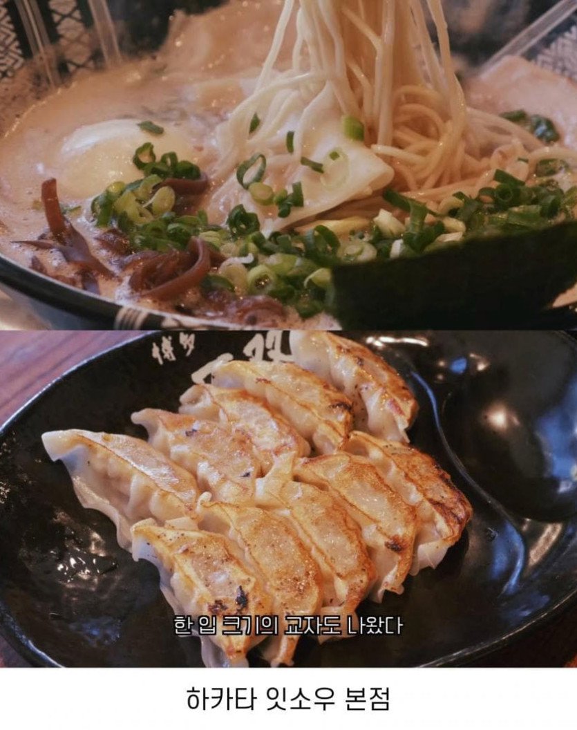 최강록 추천 후쿠오카 맛집 고화질