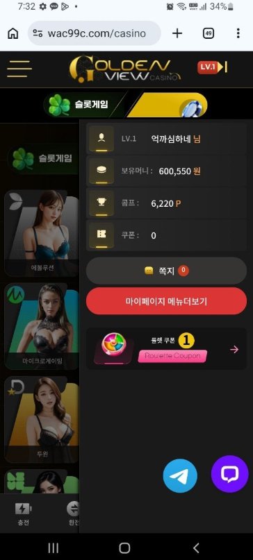 골든뷰 먹튀 환전 지연 증거 자료