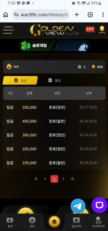 골든뷰 먹튀 피해 사례 정리 이미지