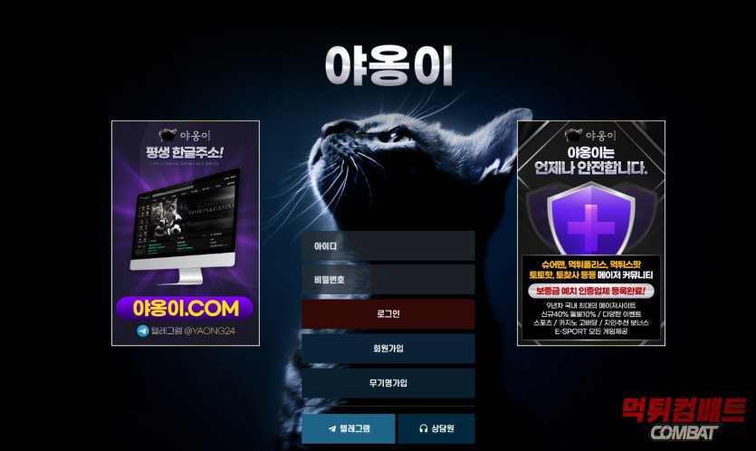 야옹이 먹튀